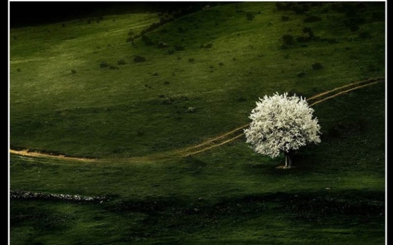 Festival Muchas Músicas – Highlanders