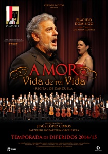 cartel_web_amorvidademivida