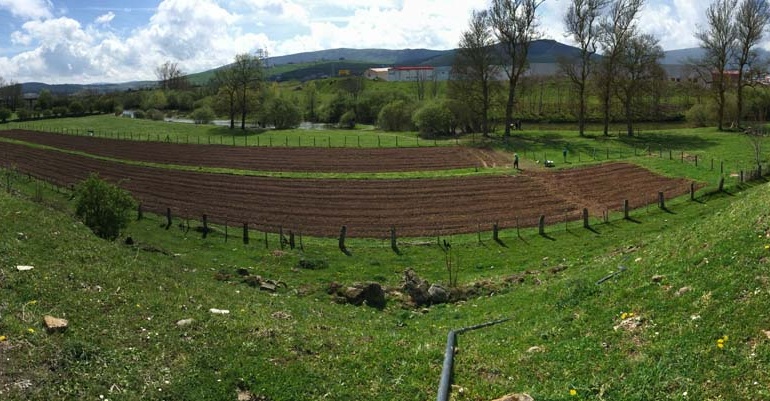 Abierto el plazo de solicitud de los huertos urbanos