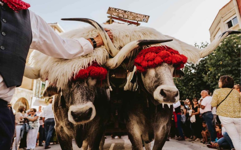 Nueva web municipal para impulsar la declaración del Día de Campoo como Fiesta de Interés Turístico Nacional