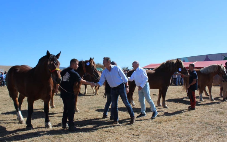 La Feria de San Mateo vuelve a demostrar que es una de las mas populares del norte de España