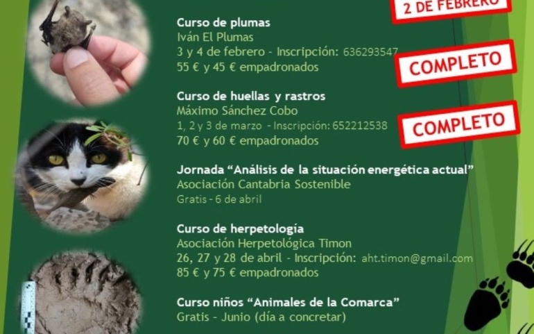 La Concejalía de Medio Ambiente programa una charla sobre “la problemática de los gatos”