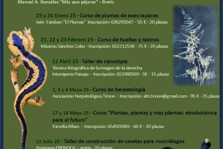 La Concejalía de Medio Ambiente presenta su Programa de Naturaleza para los próximos meses