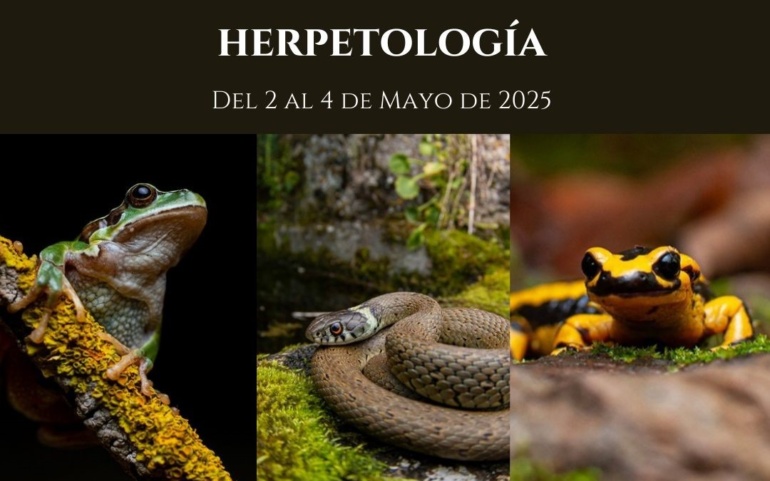 Nuevo Curso teórico-práctico de Herpetología