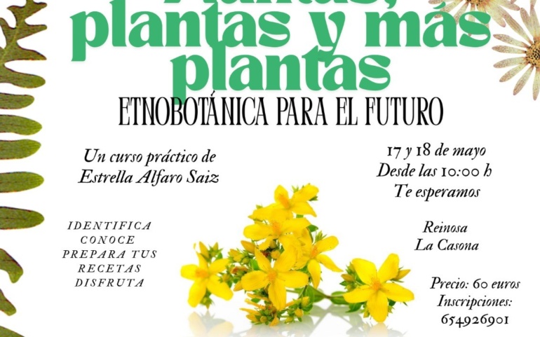 Curso sobre etnobotánica y sus aplicaciones en la cocina o la cosmética natural
