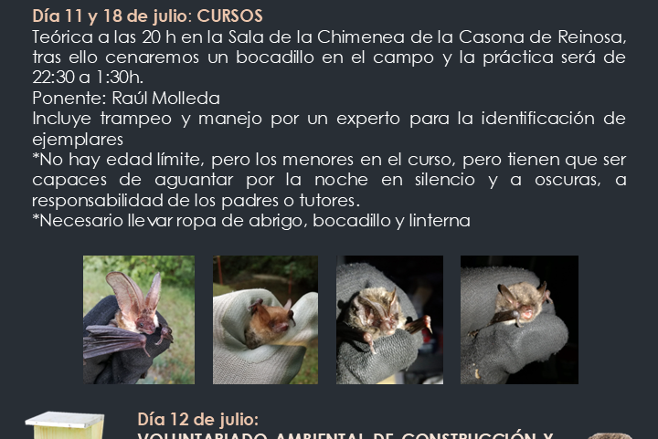 El Programa de Naturaleza de la Concejalia de Medio Ambiente oferta un curso sobre murciélagos