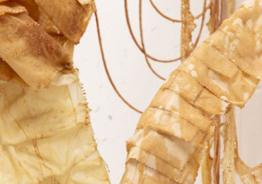 V PROGRAMA DE RESIDENCIAS ARTÍSTICAS CELESTINO CUEVAS. PROYECTOS SELECCIONADOS