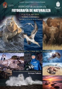 Cartel informativo del Workshop de Iniciación a la fotografía de naturaleza
