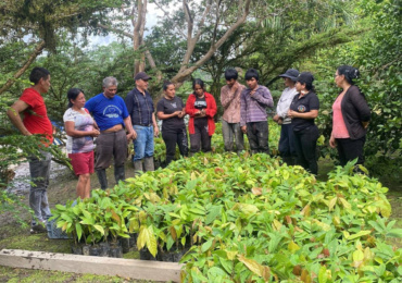 El Ayuntamiento y la Fundación Pacaso & Pacaso lanzan un programa de voluntariado en Ecuador