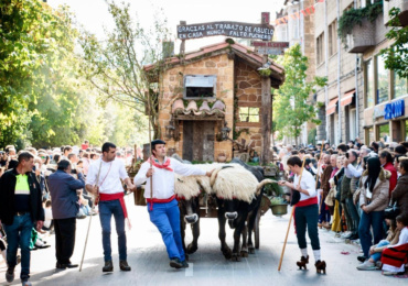 Sin bueyes sí habrá carretas el Día de Campoo
